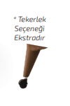 Text